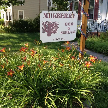 Mulberry Bed & Breakfast-2